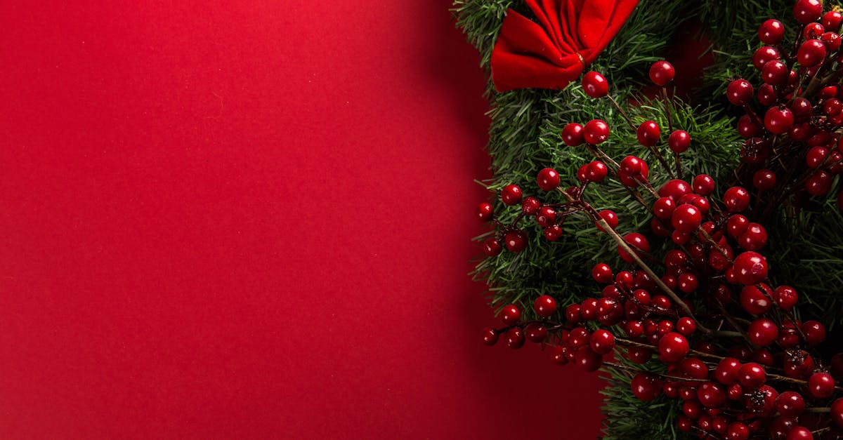 entdecken sie festliche ideen und inspirationen für ein unvergessliches weihnachtsfest. erleben sie die magie der weihnachtszeit mit traditionellen bräuchen, geschenken und köstlichen rezepten.