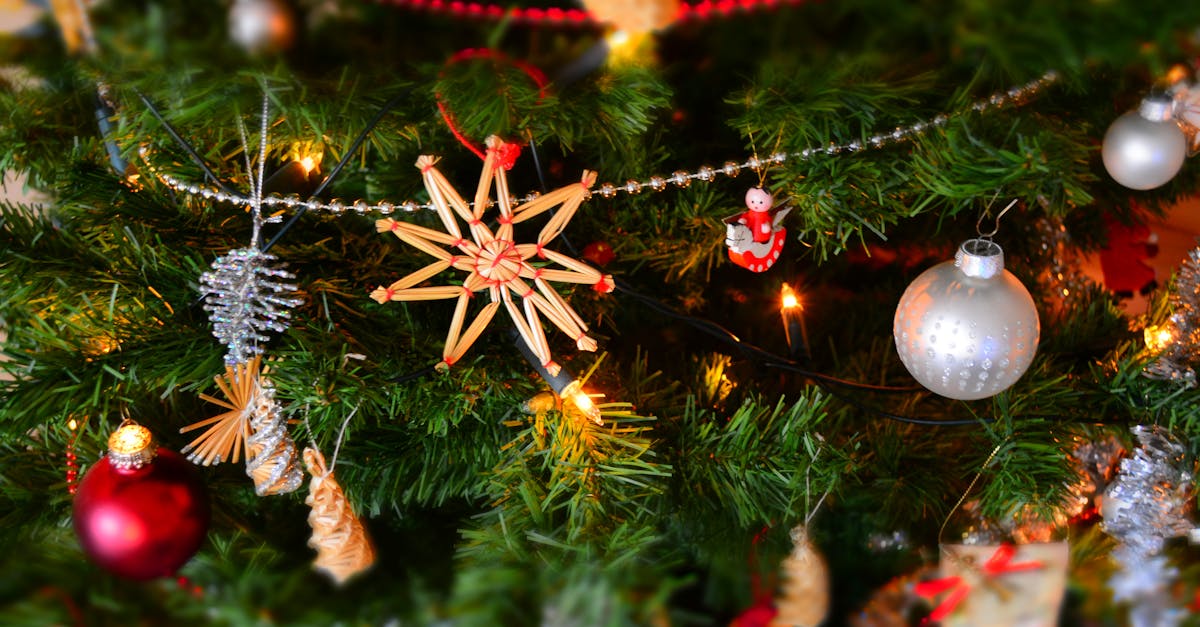 entdecken sie die magie von weihnachten! feiern sie die festliche saison mit traditionsreichen bräuchen, köstlichen rezepten und einzigartigen geschenkideen, die herzen erwärmen.