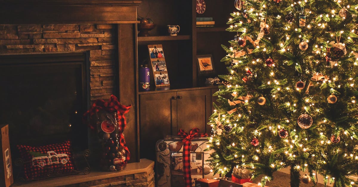 entdecken sie die festliche magie von weihnachten! erleben sie besinnliche momente, glänzende lichter und herzliche traditionen, die diese jahreszeit so besonders machen.