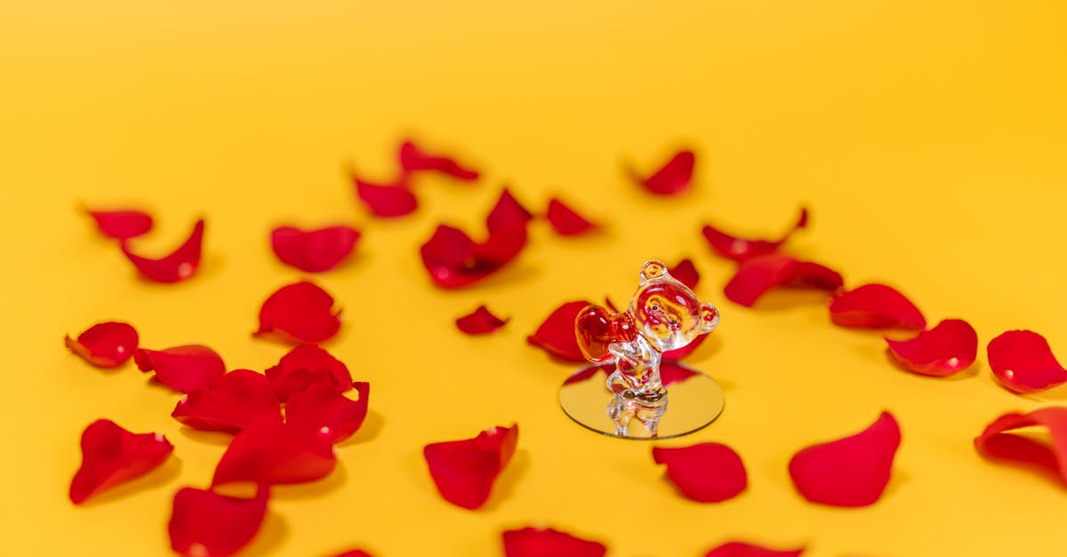 Welche geschenkideen sind perfekt für jeden anlass?